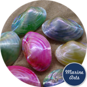 8167 - Polished River Oyster Pair - Assorted Colours 7.5-10cm